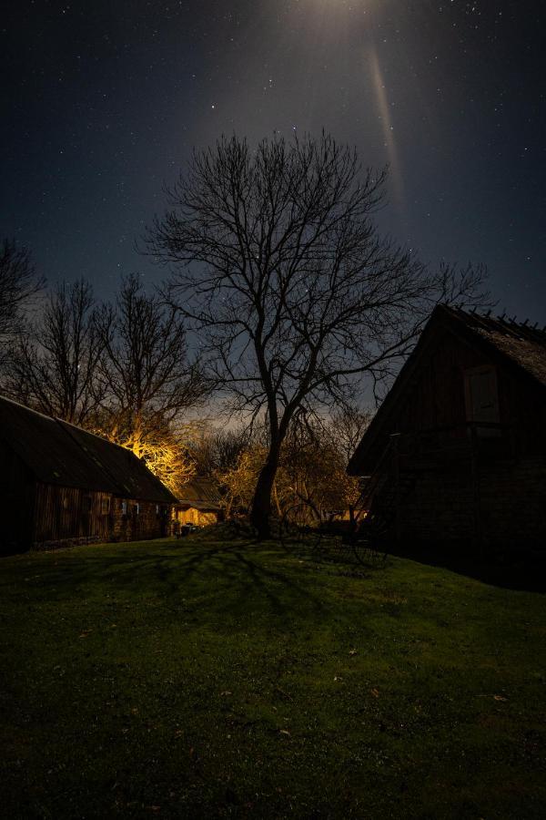 Metsara B & B Tornimae Dış mekan fotoğraf