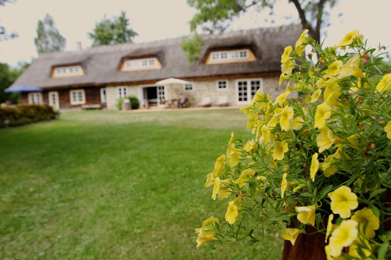 Metsara B & B Tornimae Dış mekan fotoğraf