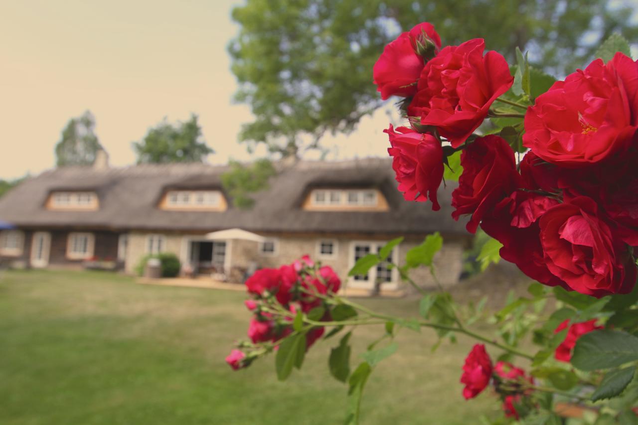 Metsara B & B Tornimae Dış mekan fotoğraf