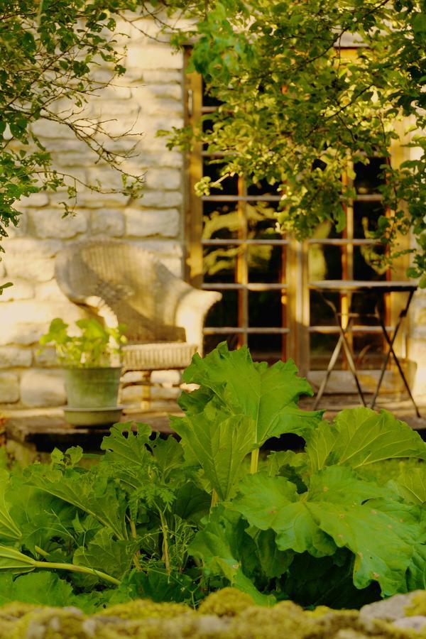 Metsara B & B Tornimae Dış mekan fotoğraf